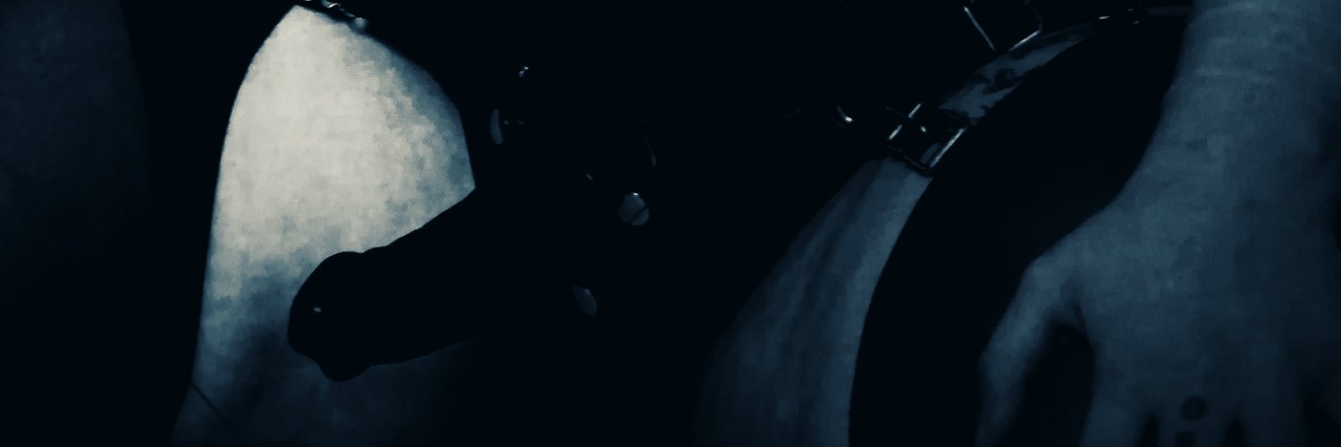 416710's profile banner image