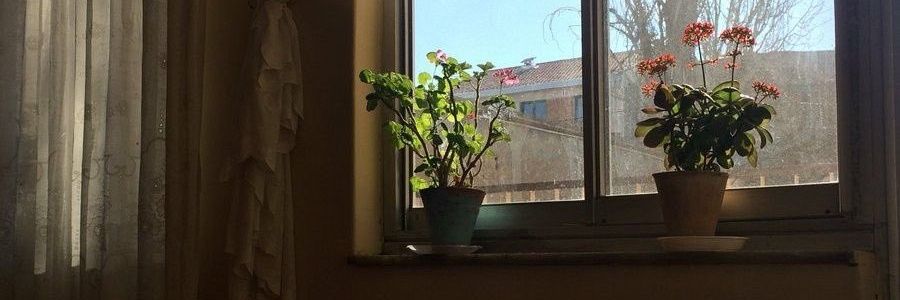 _RodinOna_'s profile banner image