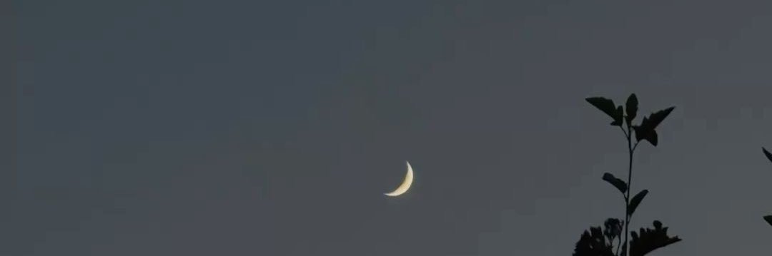 𝖊𝖗𝖎𝖐🥕 banner