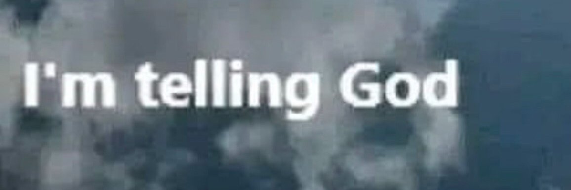 BootyBug banner