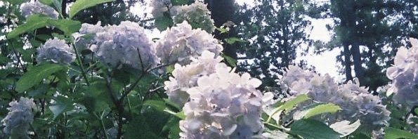 ☀️ banner