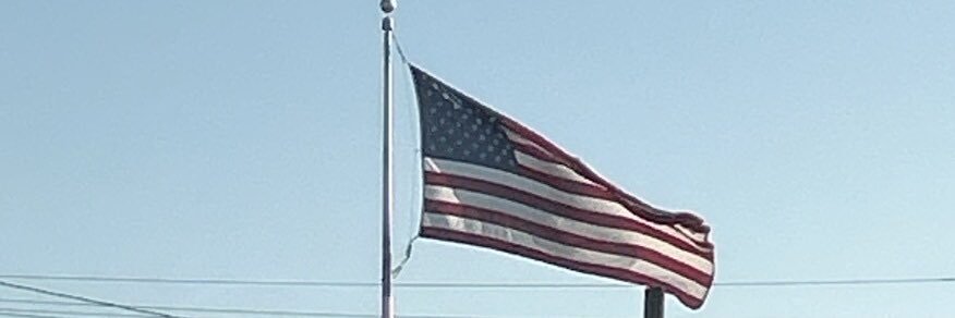 lisa_schmidt_'s profile banner image