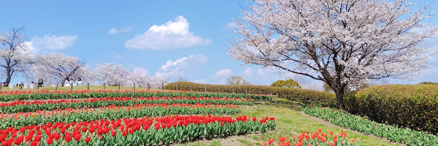 𝐲𝐮𝐦𝐢｜第31回キャリコン挑戦中✨ banner