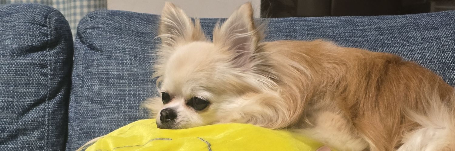 だんだん banner