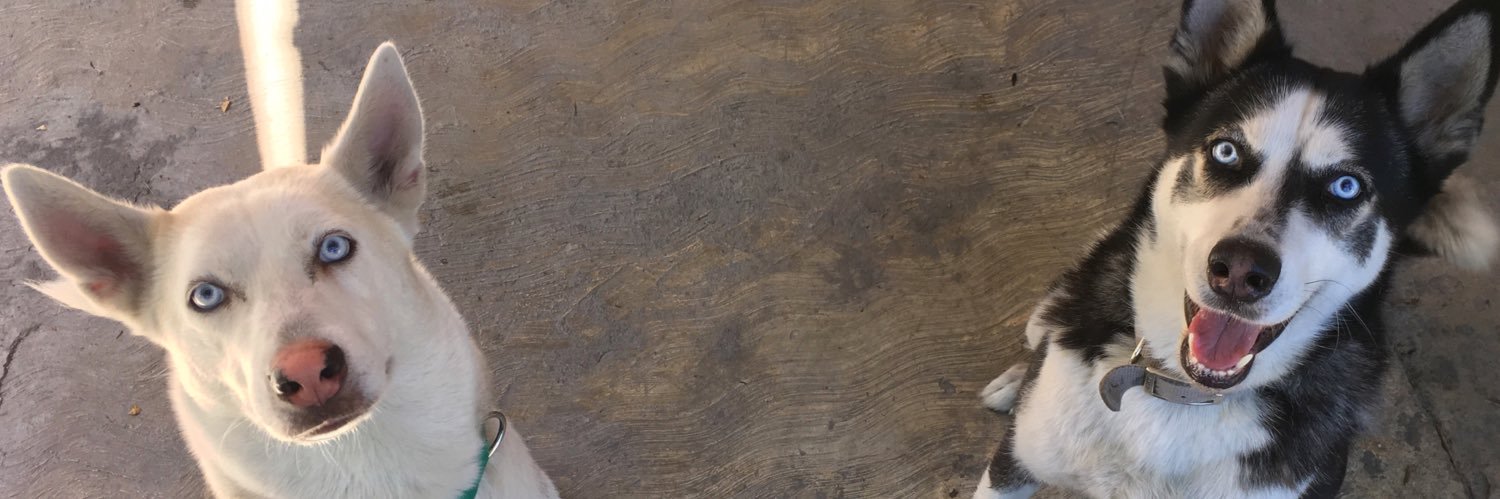 Cesarhgv's profile banner image