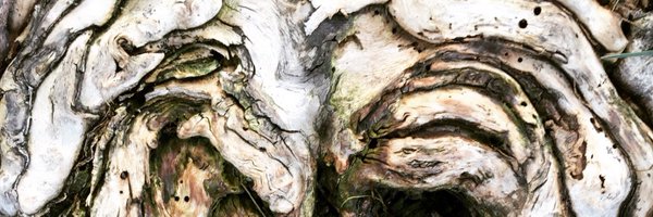 jennymeadows Profile Banner