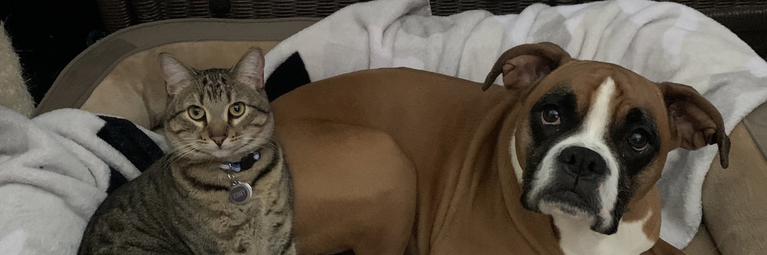 Hannah_Stuart24's profile banner image