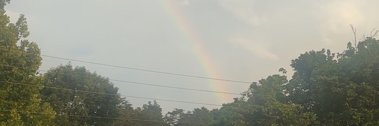 AlienAurora99's profile banner image