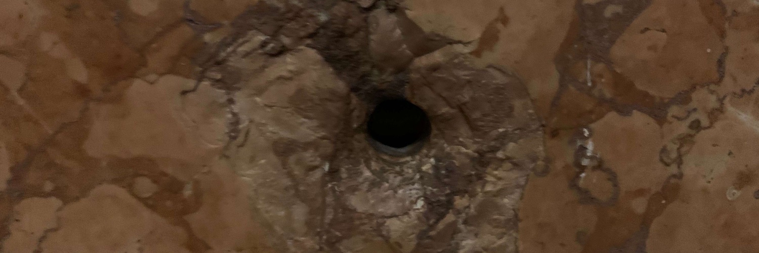 Marianne Goodland banner