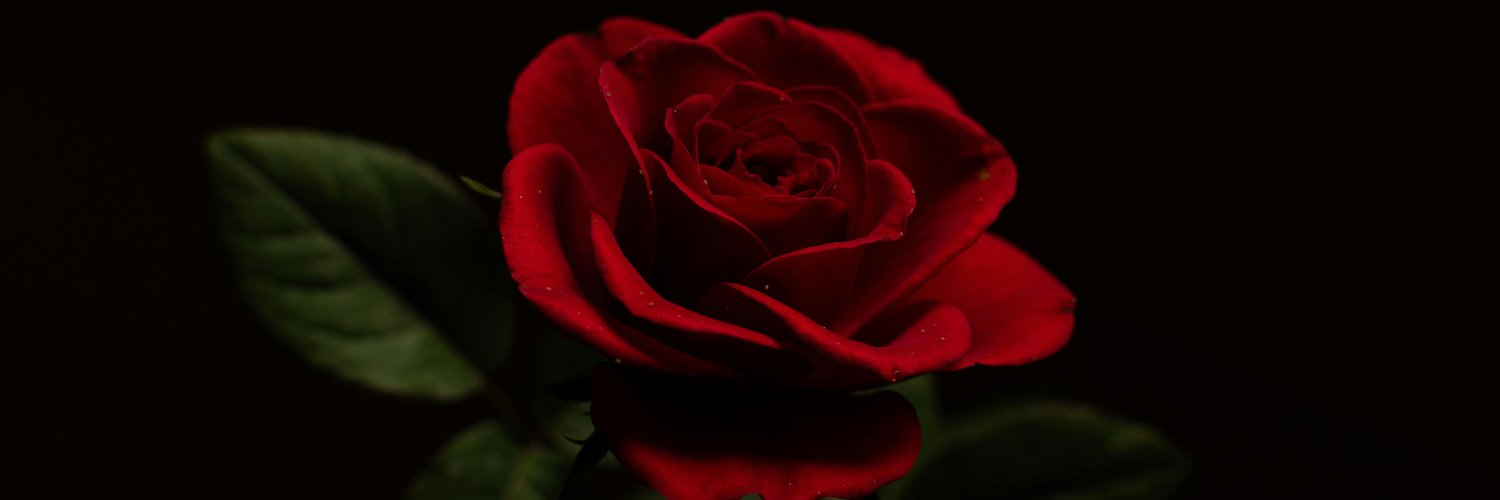 Thorne Cassian🕷️🌹(เนียนรู้จักได้เลยจ้ะ) banner