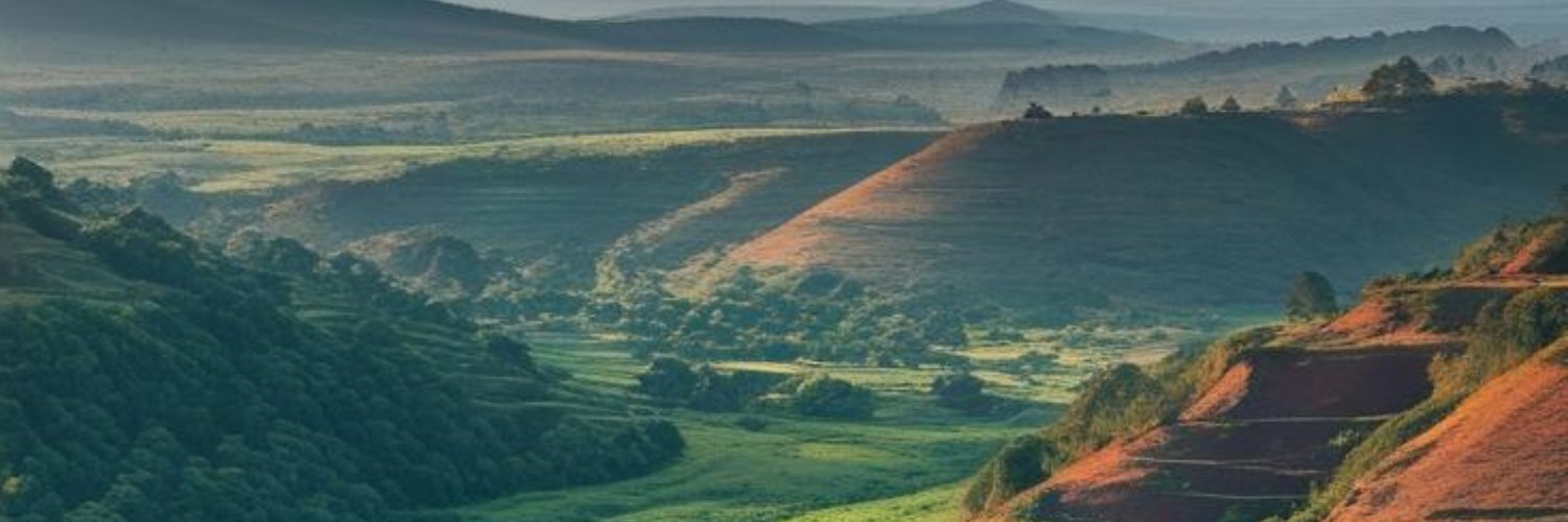 The Untold Take banner