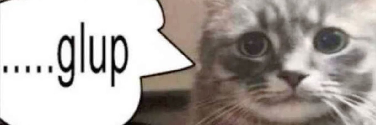 toastcatdoodle's profile banner image