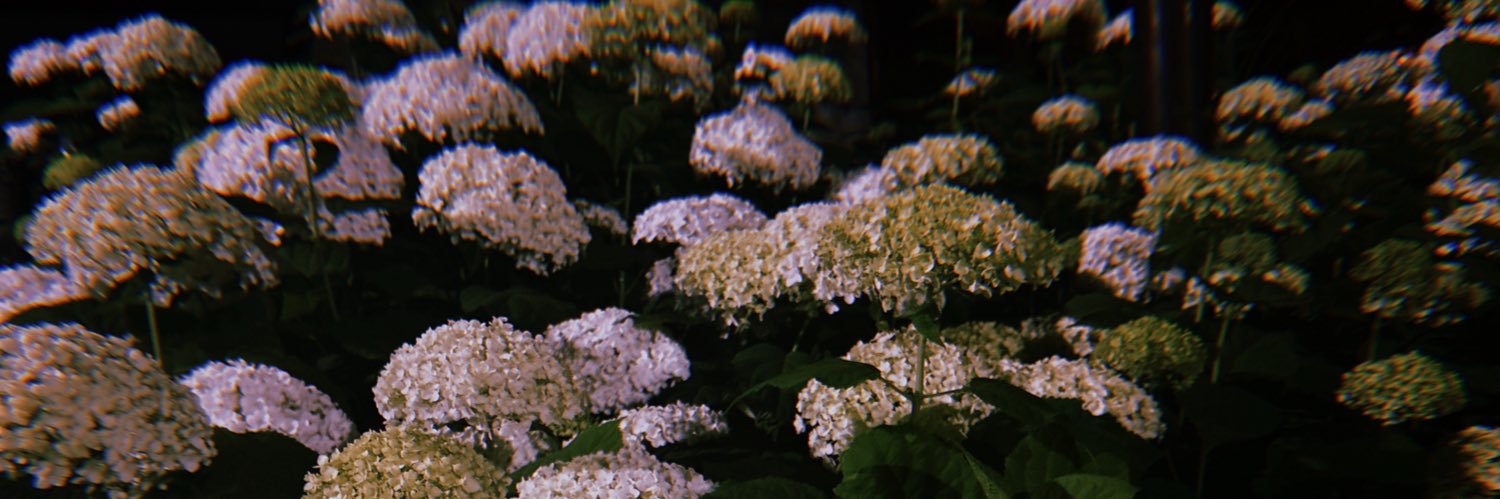 inn_no_'s profile banner image
