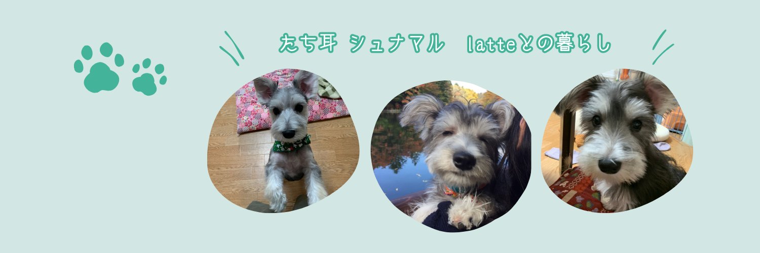 MFamm07's profile banner image