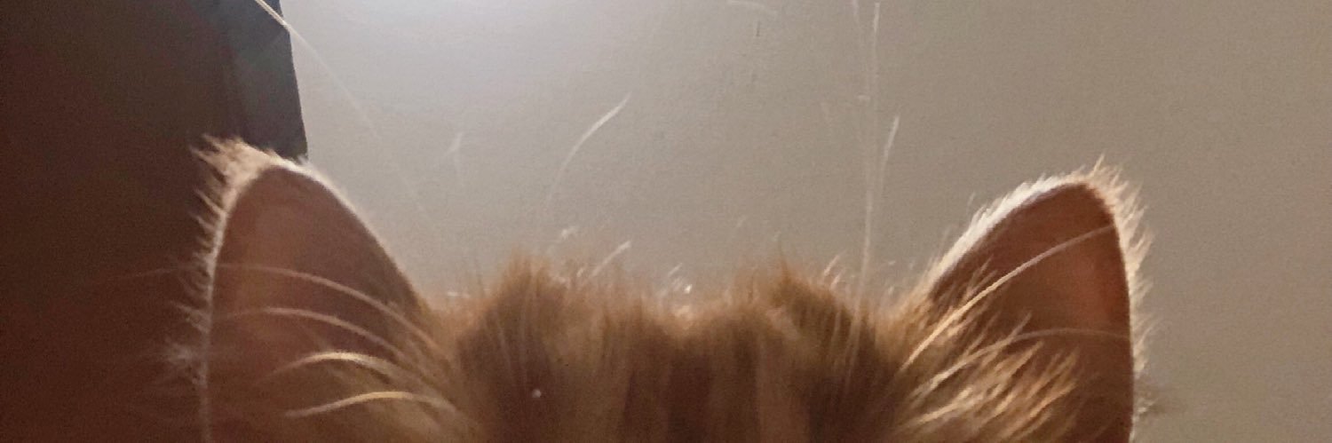 rika_ebine's profile banner image