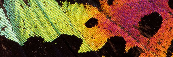 wamuseum Profile Banner