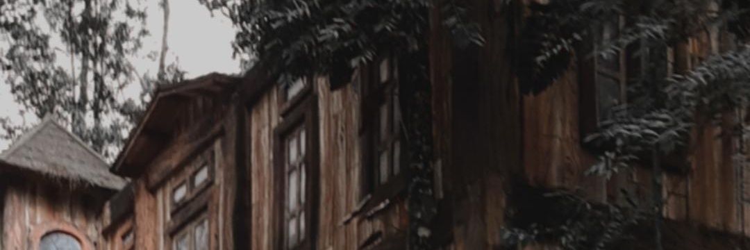 Cococip_'s profile banner image