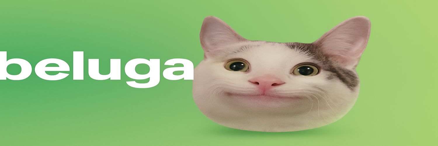 belugathecat111's profile banner image