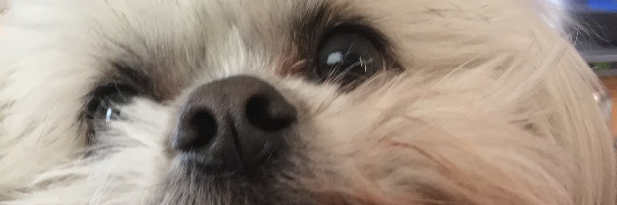 loleanna's profile banner image