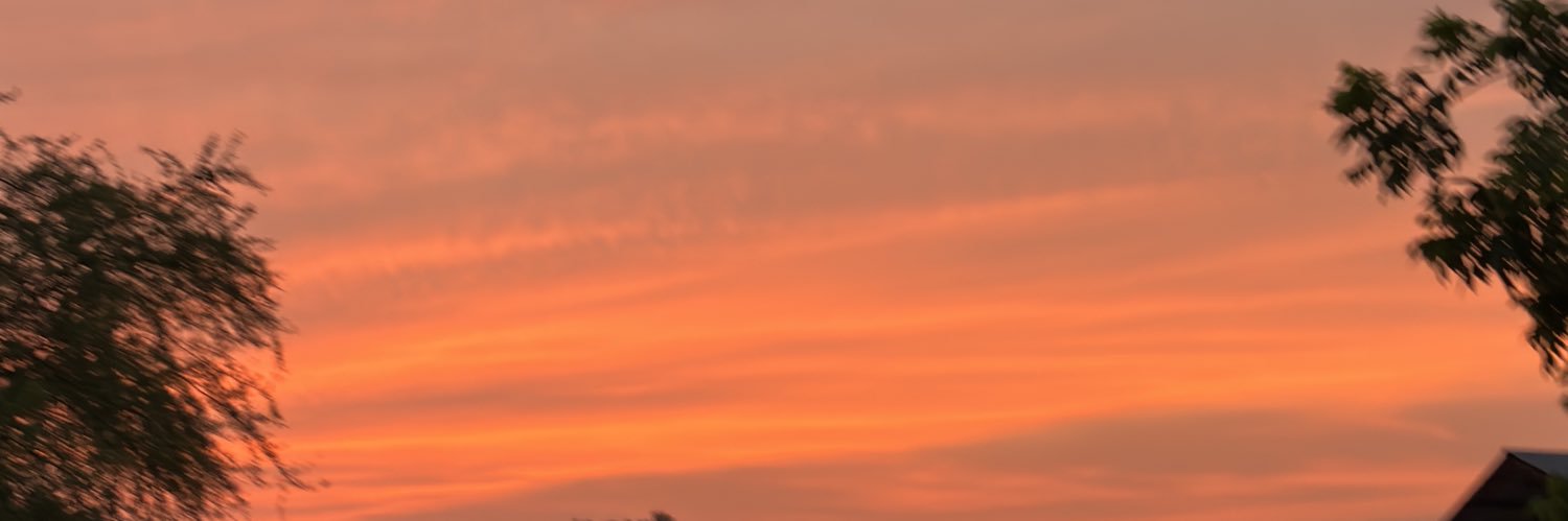 proverbies__'s profile banner image