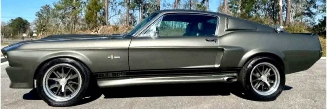 Willy Coyote 5.0 banner