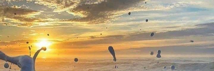 DineBalletina's profile banner image