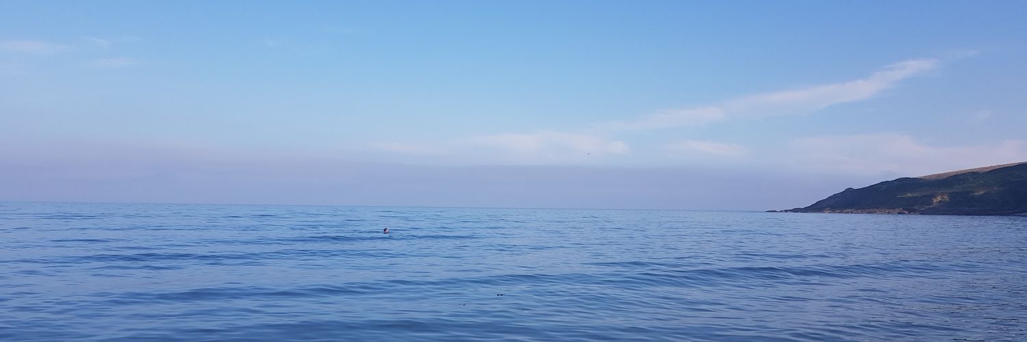 Nazia Fitzpatrick banner