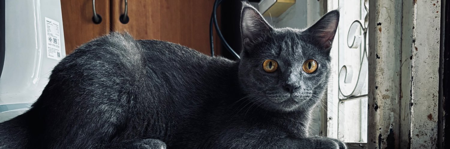 Moonzonata's profile banner image