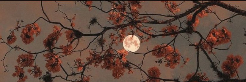 sunshineraees's profile banner image