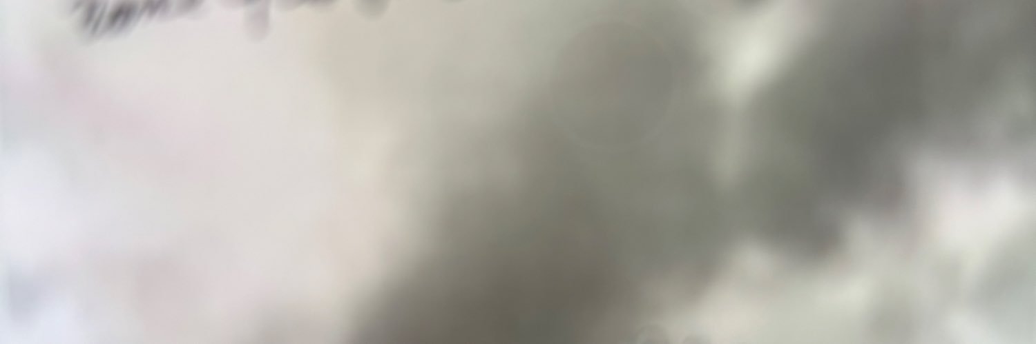 gingra2085's profile banner image