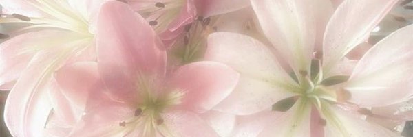 zipmeine Profile Banner