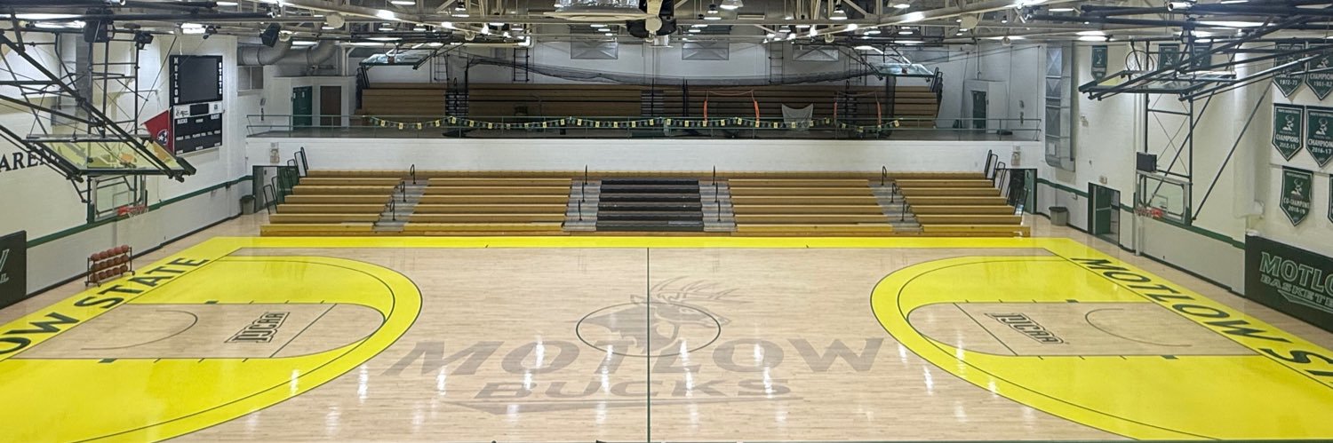 Motlow State_WBB banner