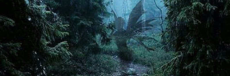 fairy_tp's profile banner image