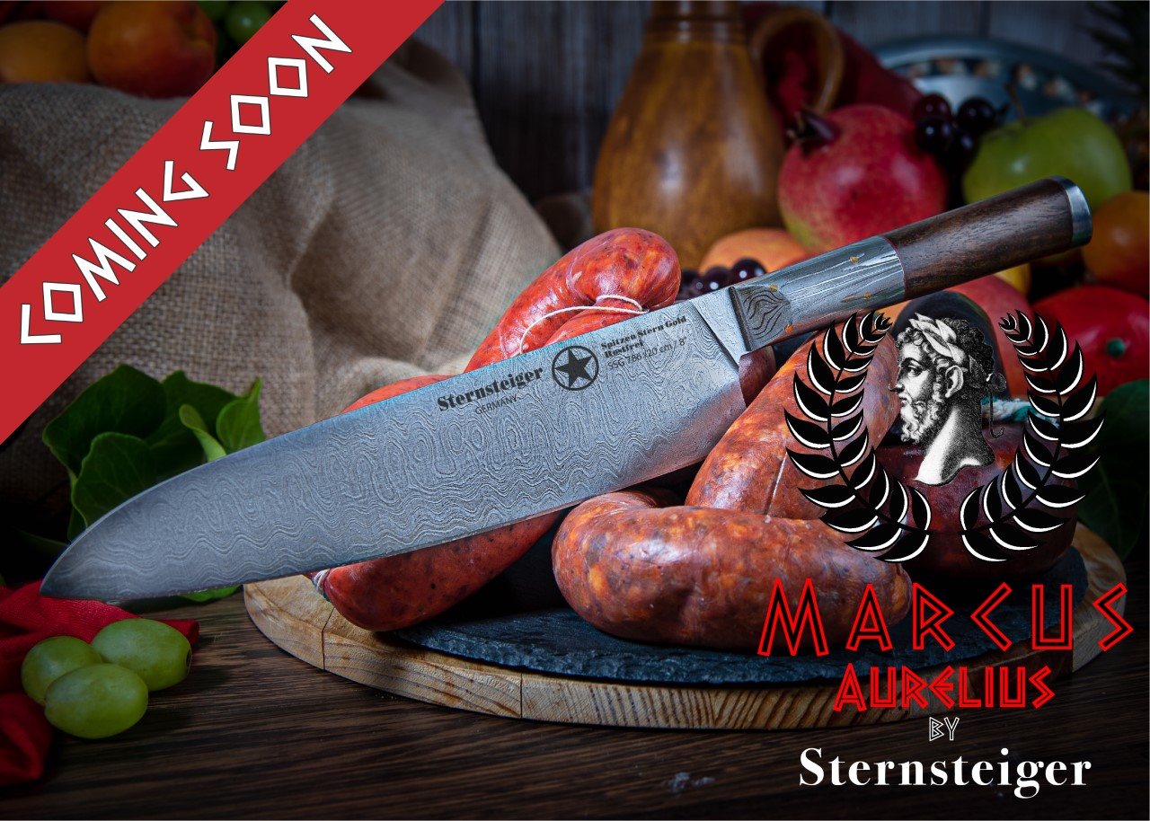 Sternsteiger.de banner