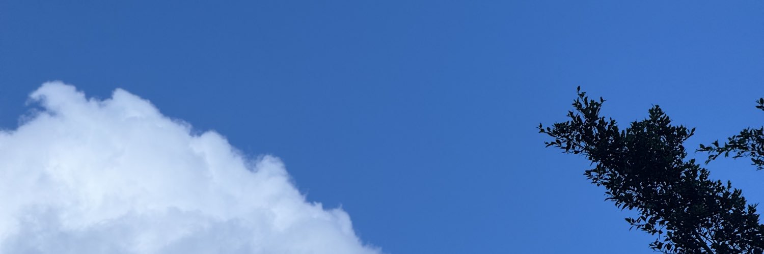 cztzjj's profile banner image