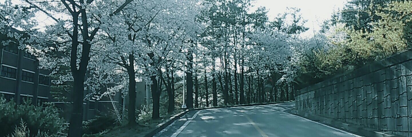 wjsghk124's profile banner image