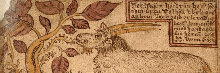Heiðrún banner