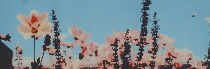 trustgifted's profile banner image