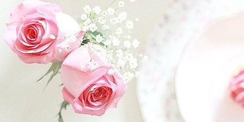 HealCrista_bot's profile banner image