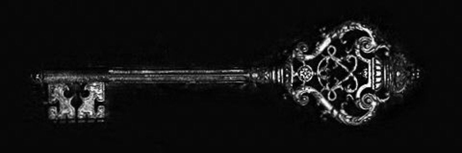 Ari 🐾 banner