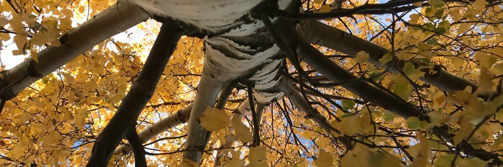 justusth's profile banner image