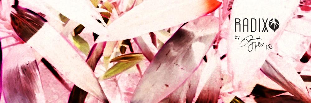 SarahHellerMW's profile banner image