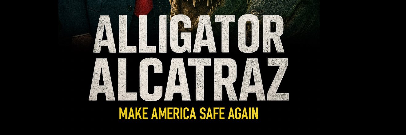 AlliAlca's profile banner image