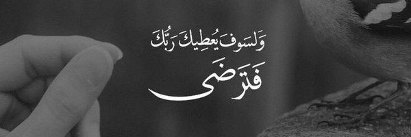 AhmedE1402 Profile Banner