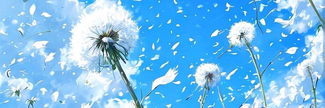 みんどぅれ🌼.* banner
