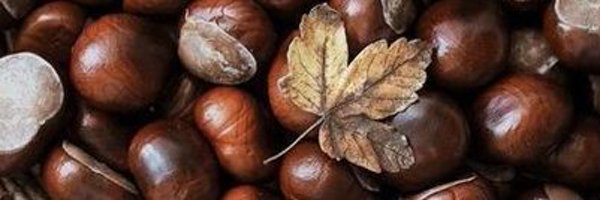 noirbext Profile Banner