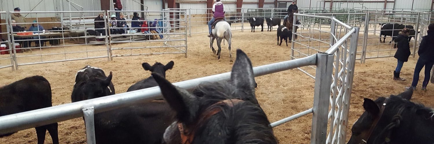 caballos71950's profile banner image