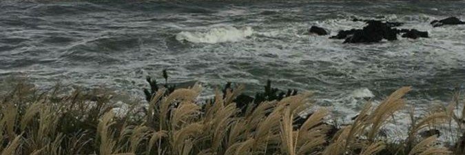rrwhnna's profile banner image