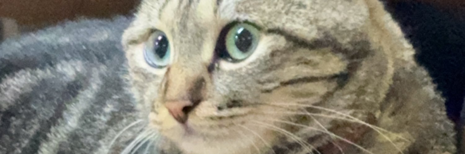 宜蘭小帥哥一枚 banner