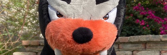 𝙏 𝙃 𝙊 𝙈 𝘼 𝙎 banner